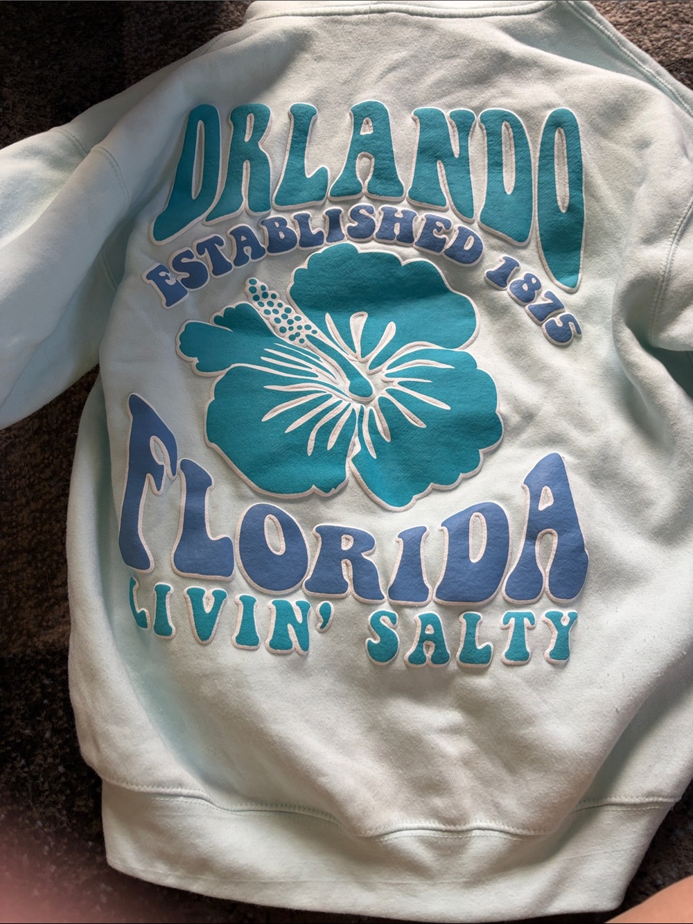Orlando Florida 'Livin' Salty' Graphic Pullover - Teal & Light Blue